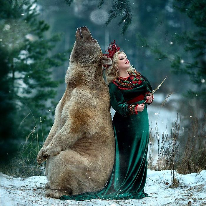 Russian brown bear sitting in the snow leaning against a woman in a green dress during a winter outdoor photoshoot
