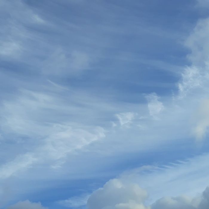 Strangely Orderly Cloud Formations