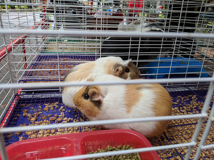 30 People Reveal Industry Secrets About Their Jobs That Common People Aren’t Supposed To Know