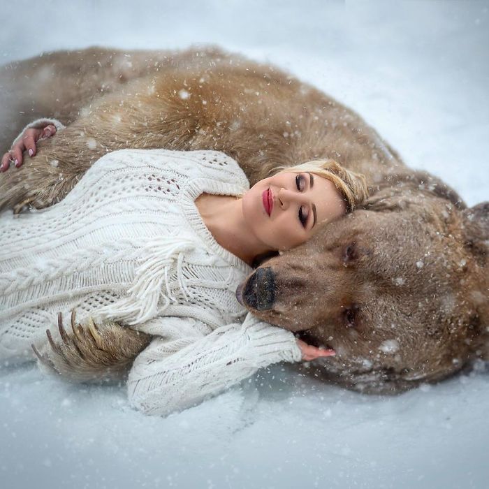 Woman in a white sweater lying peacefully with a Russian brown bear in snowy outdoors, showcasing the bear’s modeling career.