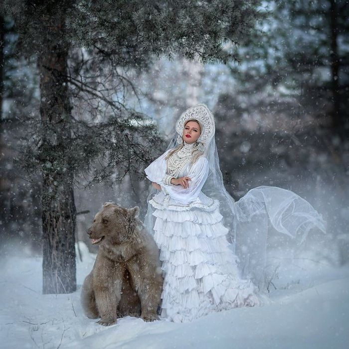 Russian brown bear with woman in traditional white dress posing together in snowy forest, modeling career concept.