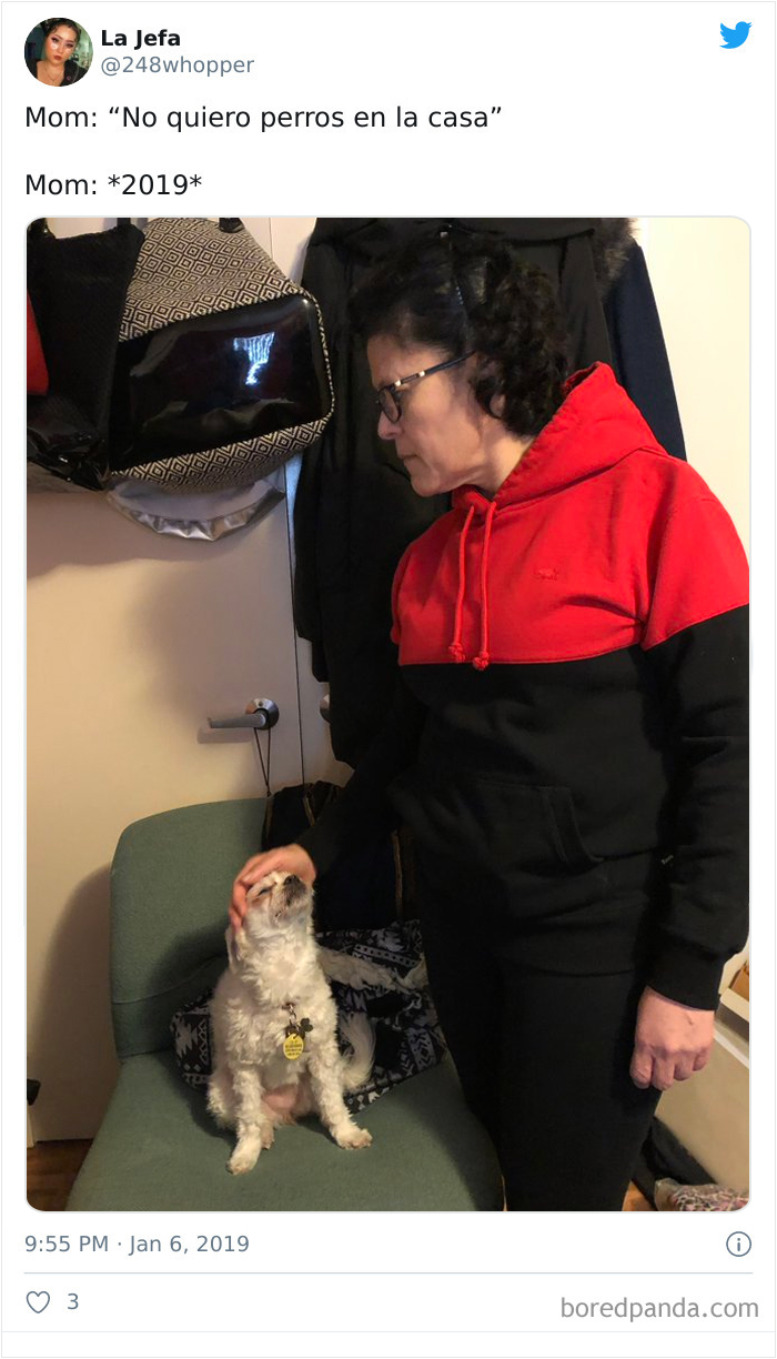 Latina-Moms-Who-Did-Not-Want-A-Dog