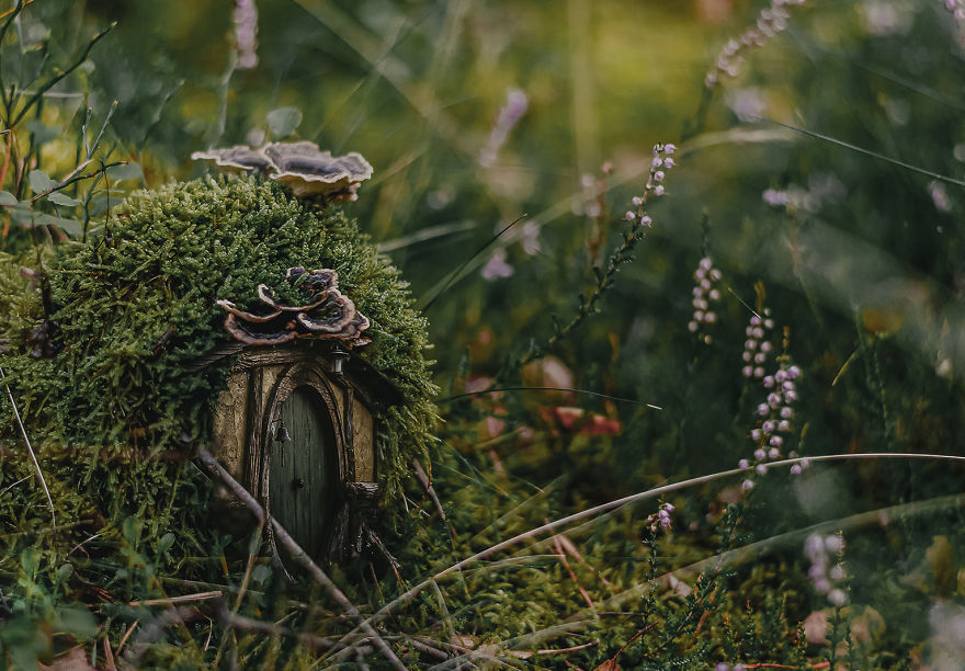 Hi! I'm Marcelina, And I Build Houses