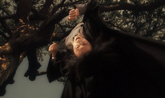 Snape Actually Called Lily Potter A “Mudblood” During Snape’s Worst Memory