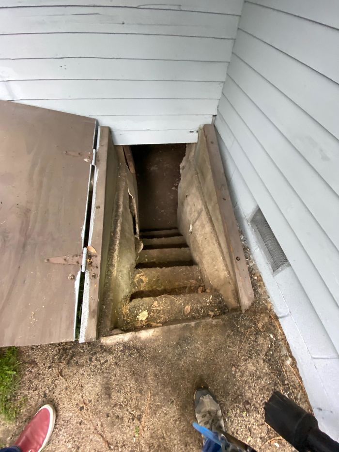 Bizarre-Structural-Inspections