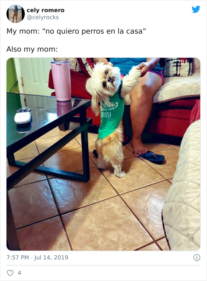 Latina-Moms-Who-Did-Not-Want-A-Dog