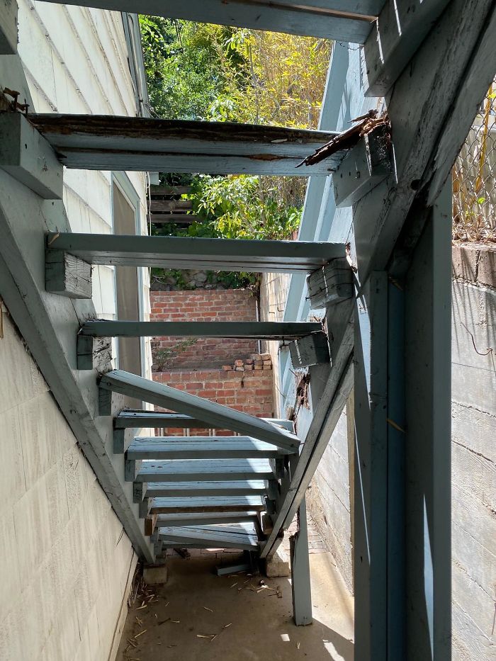 Bizarre-Structural-Inspections