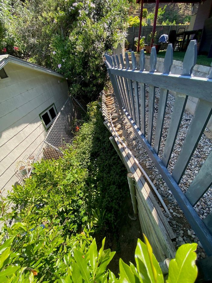 Bizarre-Structural-Inspections