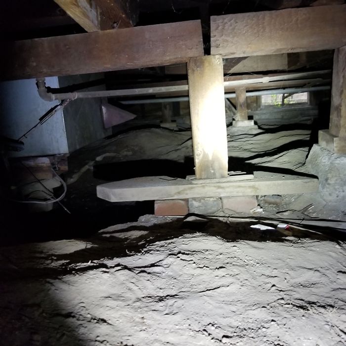 Bizarre-Structural-Inspections