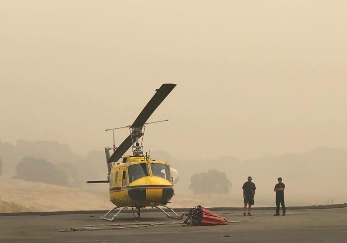Owl Casually Flies Into Helicopter That's In Flight Over Californian Wildfires Owl Casually Flies Into Helicopter That's In Flight Over Californian Wildfires