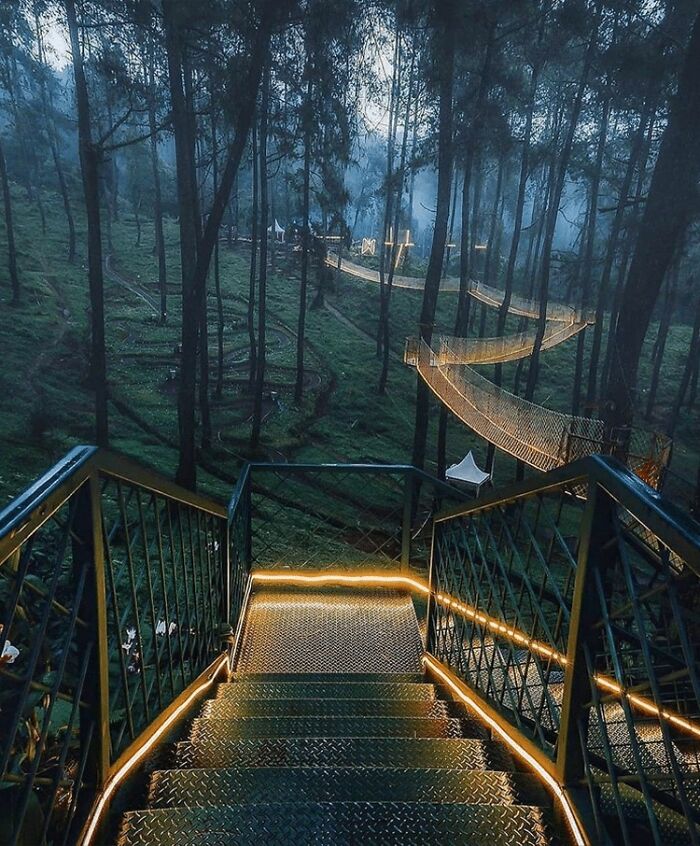This Forest In Indonesia Is Home To A Magical Bridge Of Lights Suspended Among Trees This Forest In Indonesia Is Home To A Magical Bridge Of Lights Suspended Among Trees