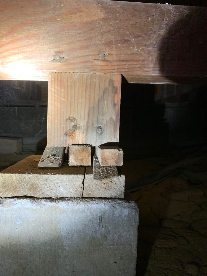 Bizarre-Structural-Inspections