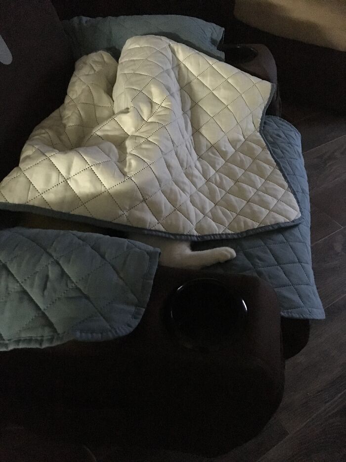 If It So Much As Looks Like A Blanket, She’s Sleeping In It. I’m Not Sure How She Breathes Sometimes.