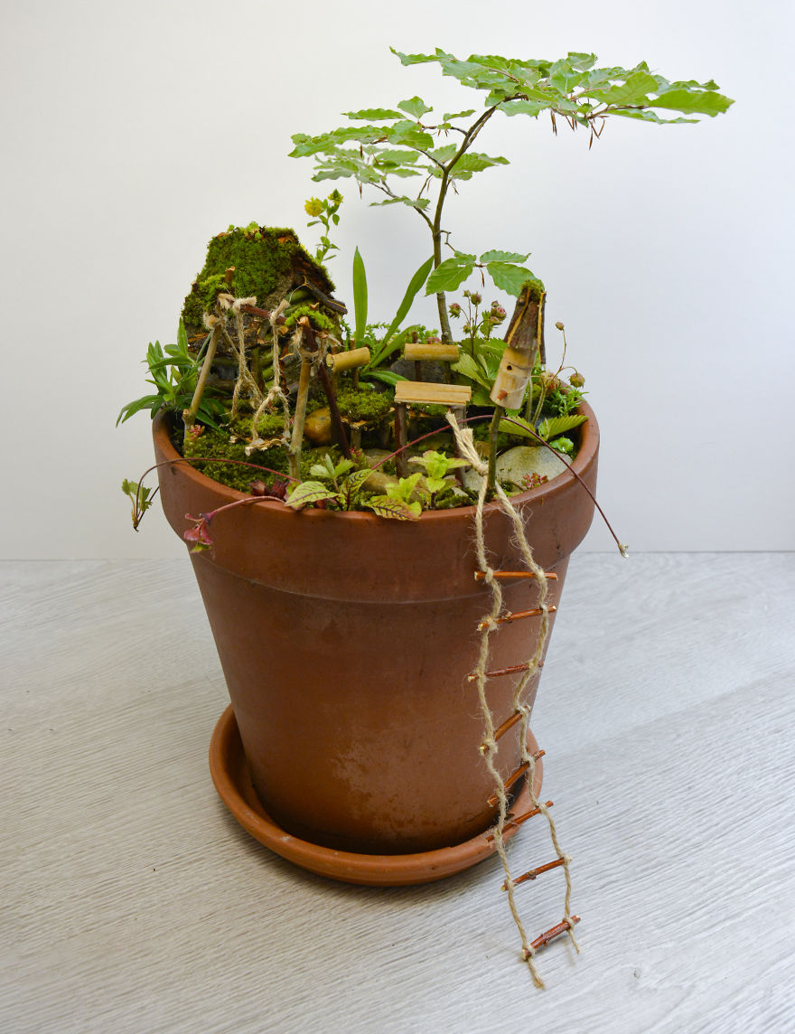 I Started Making Tiny Gardens At Home To Relax From My Everyday Job (28 Pics)