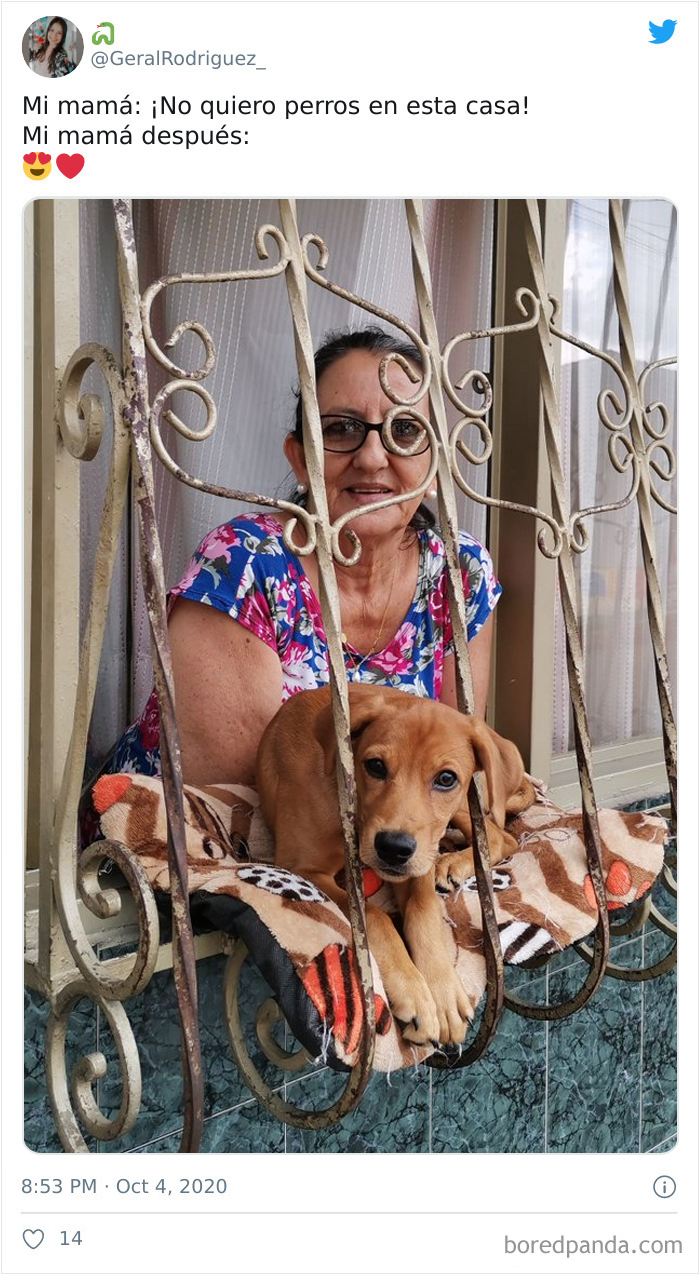 Latina-Moms-Who-Did-Not-Want-A-Dog