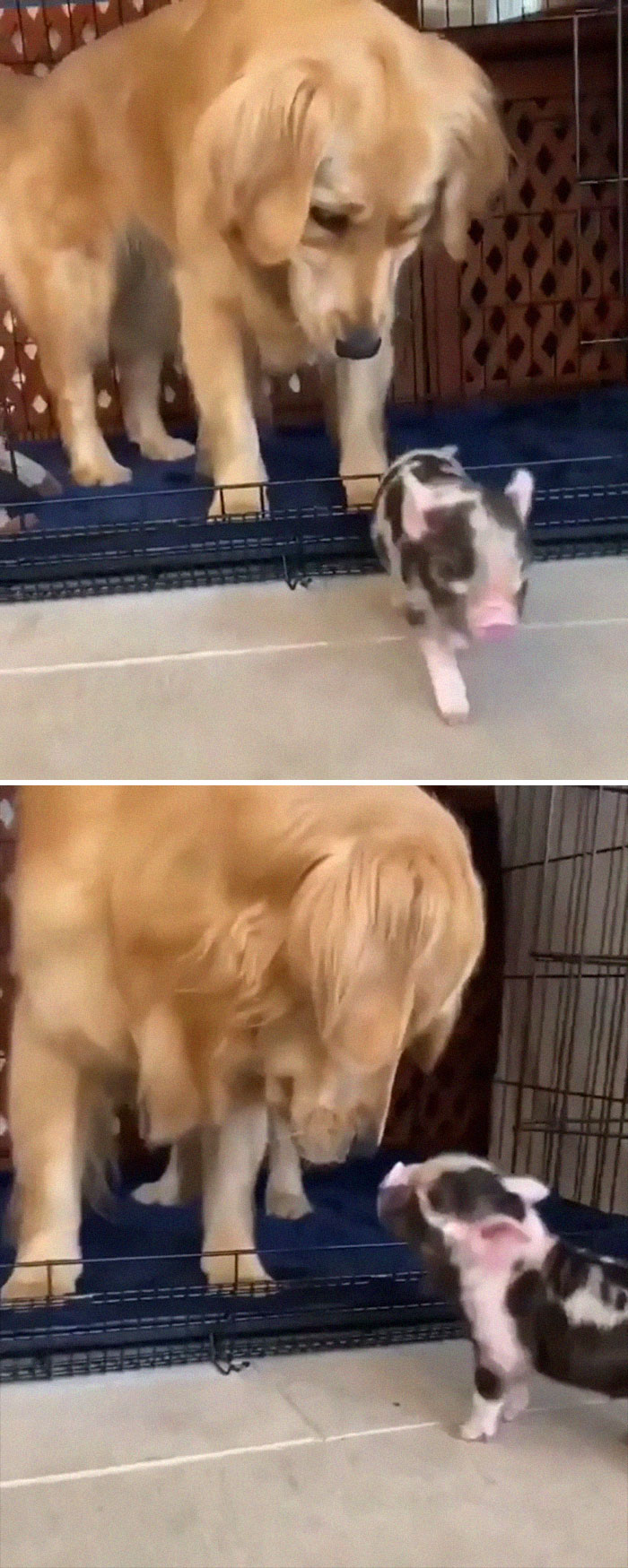 Best Friends Already