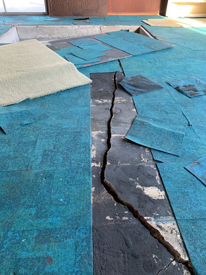 Bizarre-Structural-Inspections