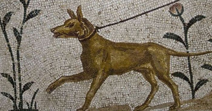 50 Facts From An Online Group Where People Post The Most Interesting Things They Learn And That Has 23 Million Members