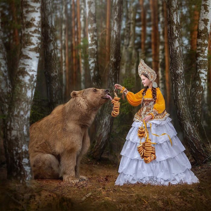 Russian brown bear sitting in forest with a girl in traditional dress feeding it bagels during modeling photoshoot.