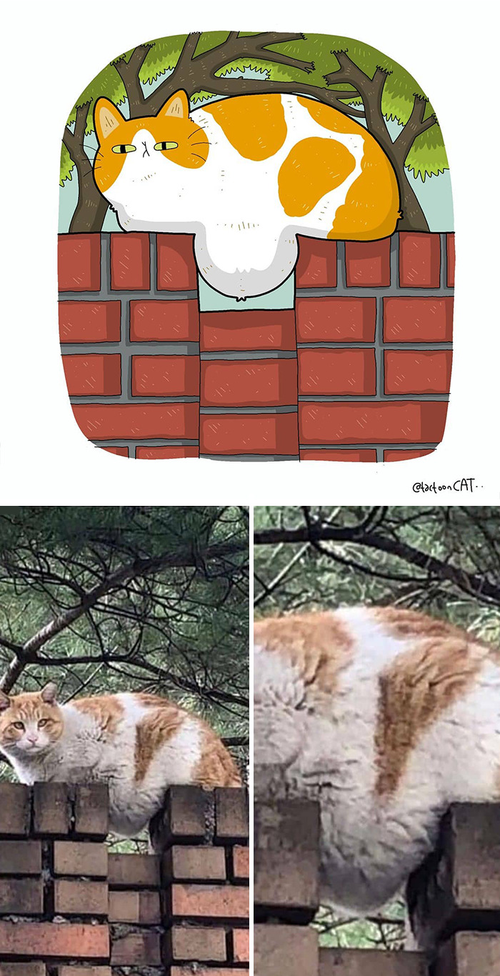 Artist Is Bringing Forgotten Memes Of Cats In The Form Of Cartoons And This Is So Purrfect