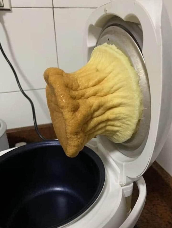 Baking A Cake In A Rice Cooker