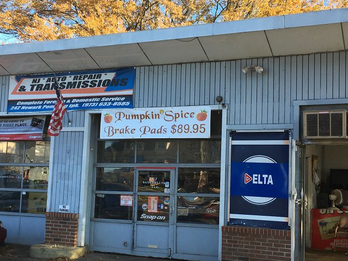 They’ll Wanna Take Selfies With Them