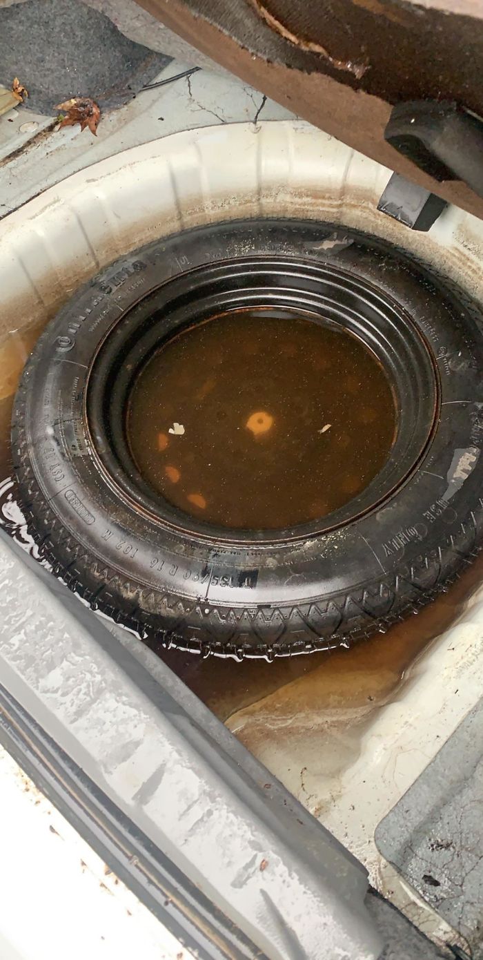 Customer States “Interior Smells Like Mold”... The Spare Tire Is Literally Floating