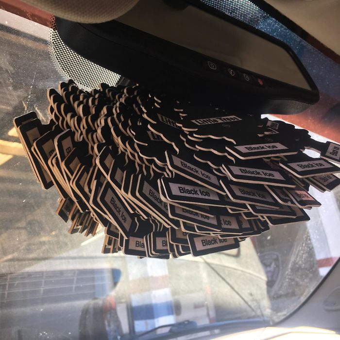 A Forest Of Black Ice