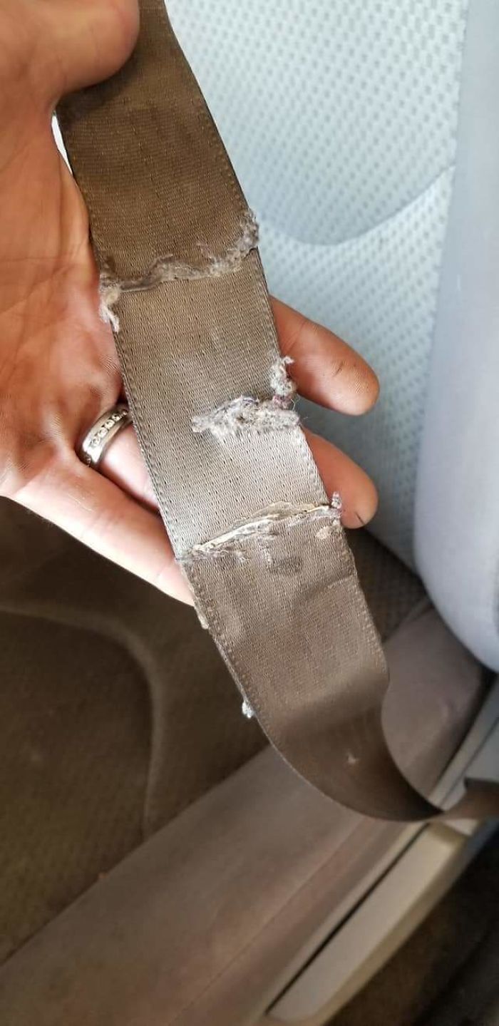 Car Came In For Safety Inspection, It Was Literally Glued Back Together With Fabric Glue