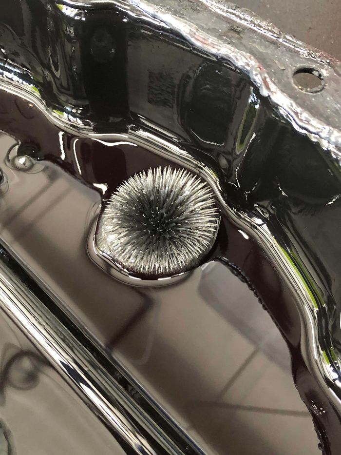 Sweet Metallic Chia Pet We Found In A Transmission Pan