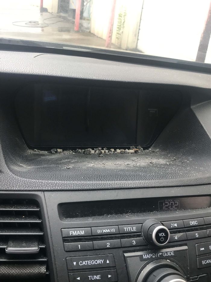 I Guess Anything's An Ash Tray If You're Gross Enough