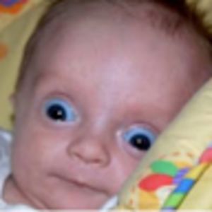 sriyaprasannavenkatesan avatar