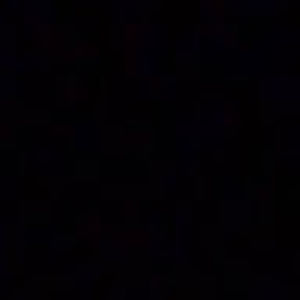 salvadorlaurienti_1 avatar