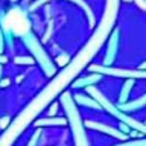 s_vitkovitsky avatar