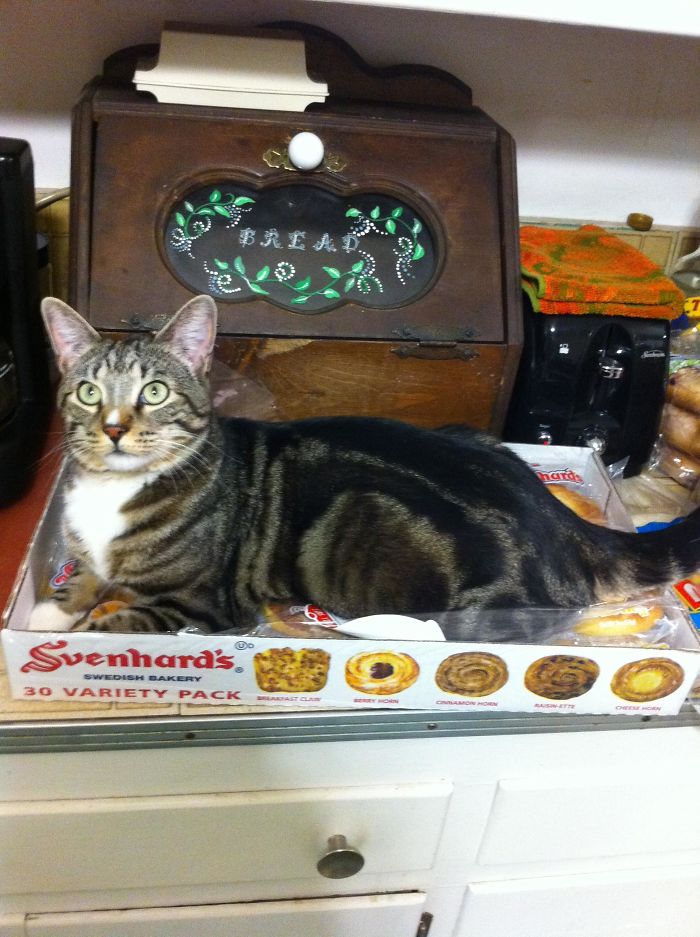 This Guy Has 3 Beds And A Tower