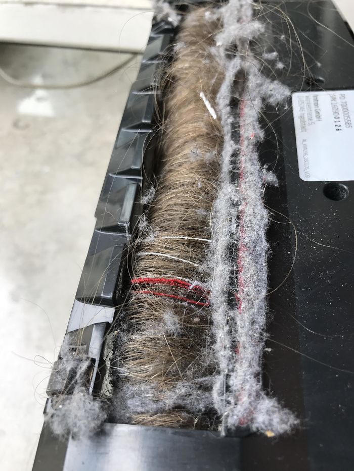 My Girlfriend Was Wondering Why Her Vacuum Was Not Working Anymore