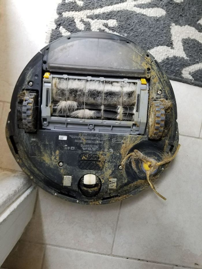 My Buddy Was Pumped To Get A Roomba... Until His Dog Poo'd In The House