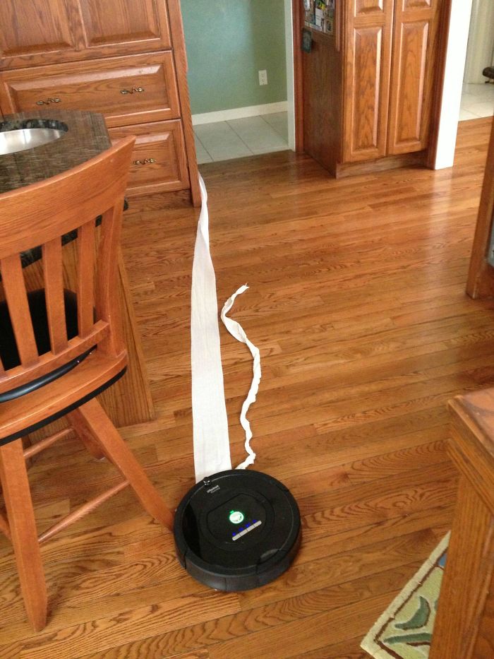 You're A Jerk, Roomba