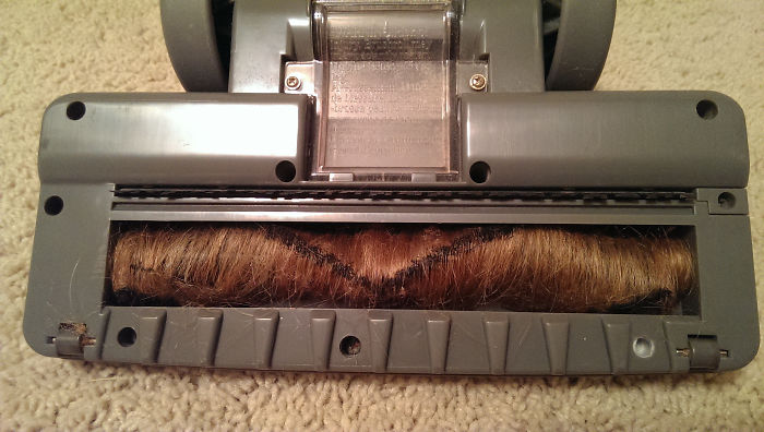 Vacuum Was Not Working. She Blamed It On The Cat. Our Cat Is Grey