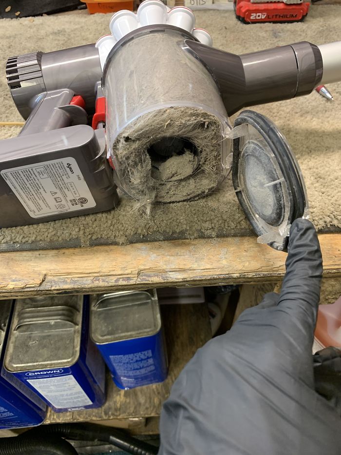 When Customers Think That Two Dyson Stick Vacs Are Enough To Clean A Home With Three Dogs