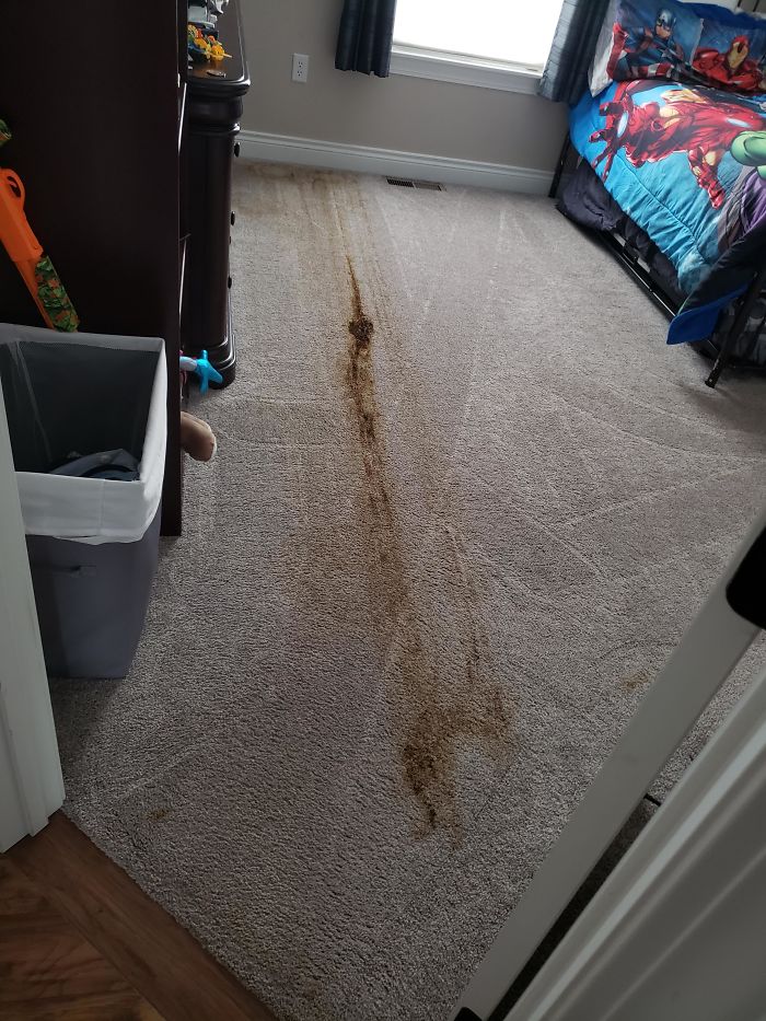 Get A Roomba They Said. It'll Make Your Life Easier They Said