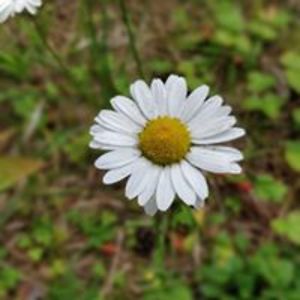 marilin_lutsoja avatar