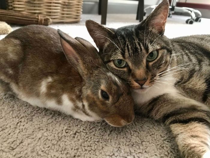 New “Sisters” And Already Best Friends