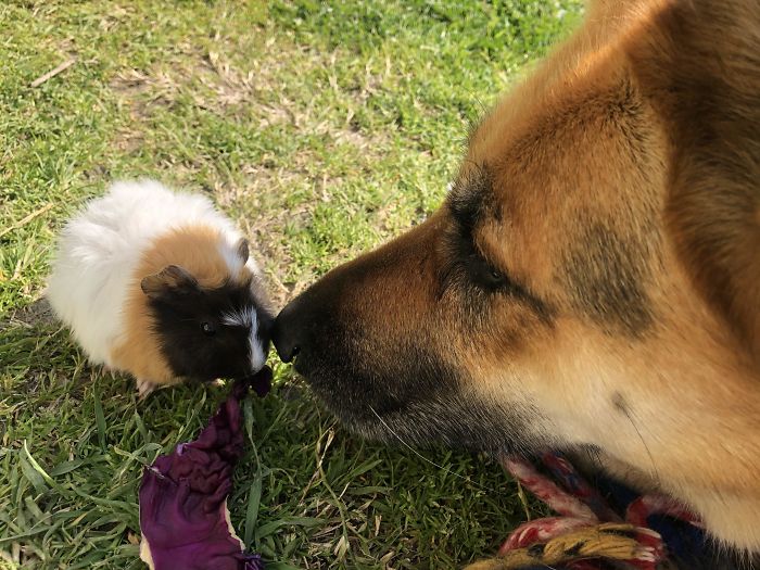 An Unexpected Friendship