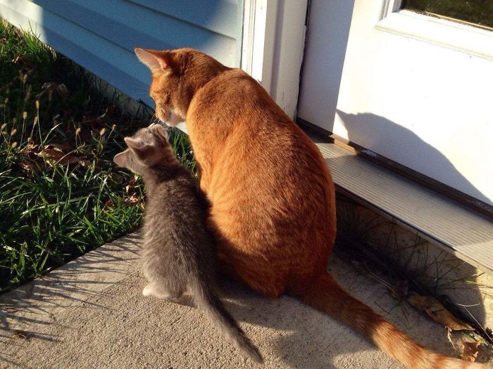 The Beginning Of A New Friendship