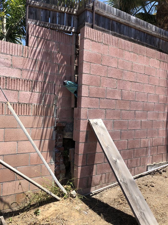 Bizarre-Structural-Inspections