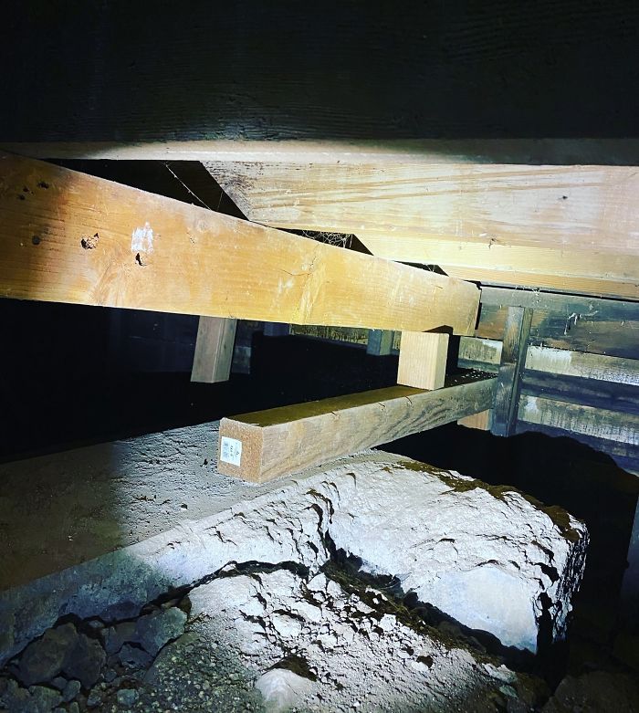 Bizarre-Structural-Inspections