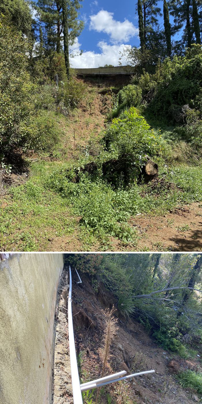 Bizarre-Structural-Inspections