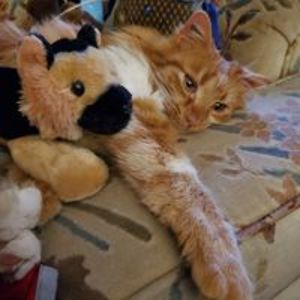 weedtemptation avatar