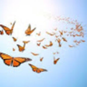 airyahnacaudell_1 avatar